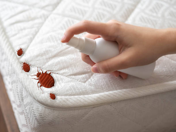 Professional Pest control in Colonia, NJ